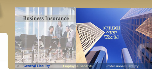 Chibueze Insurance Agency